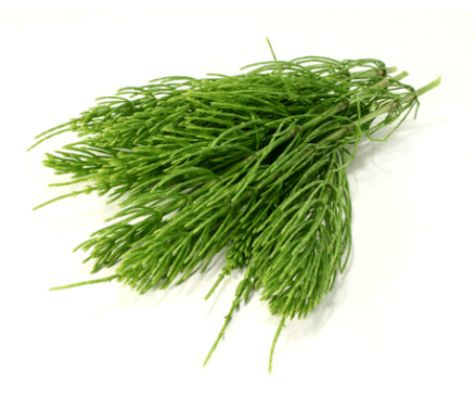 Εκχύλισμα αλογοουράς στο NEOflorax